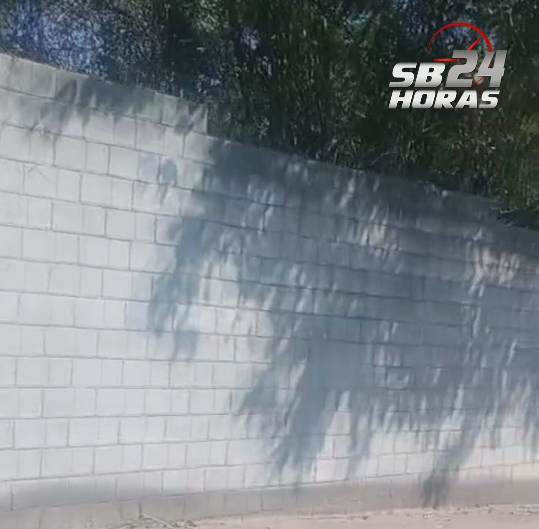 Após denúncia, Prefeitura realiza poda de árvores na Rua Marechal Odélio Denys, no 31 de Março 1 31 de Março