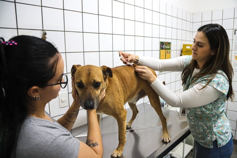 vacinação antirrábica raiva 03 - imprensa