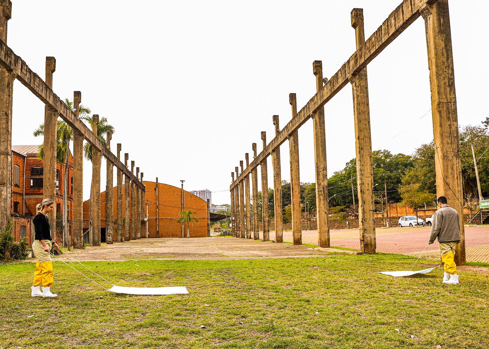 Inspeção Carrapatos Usina 02