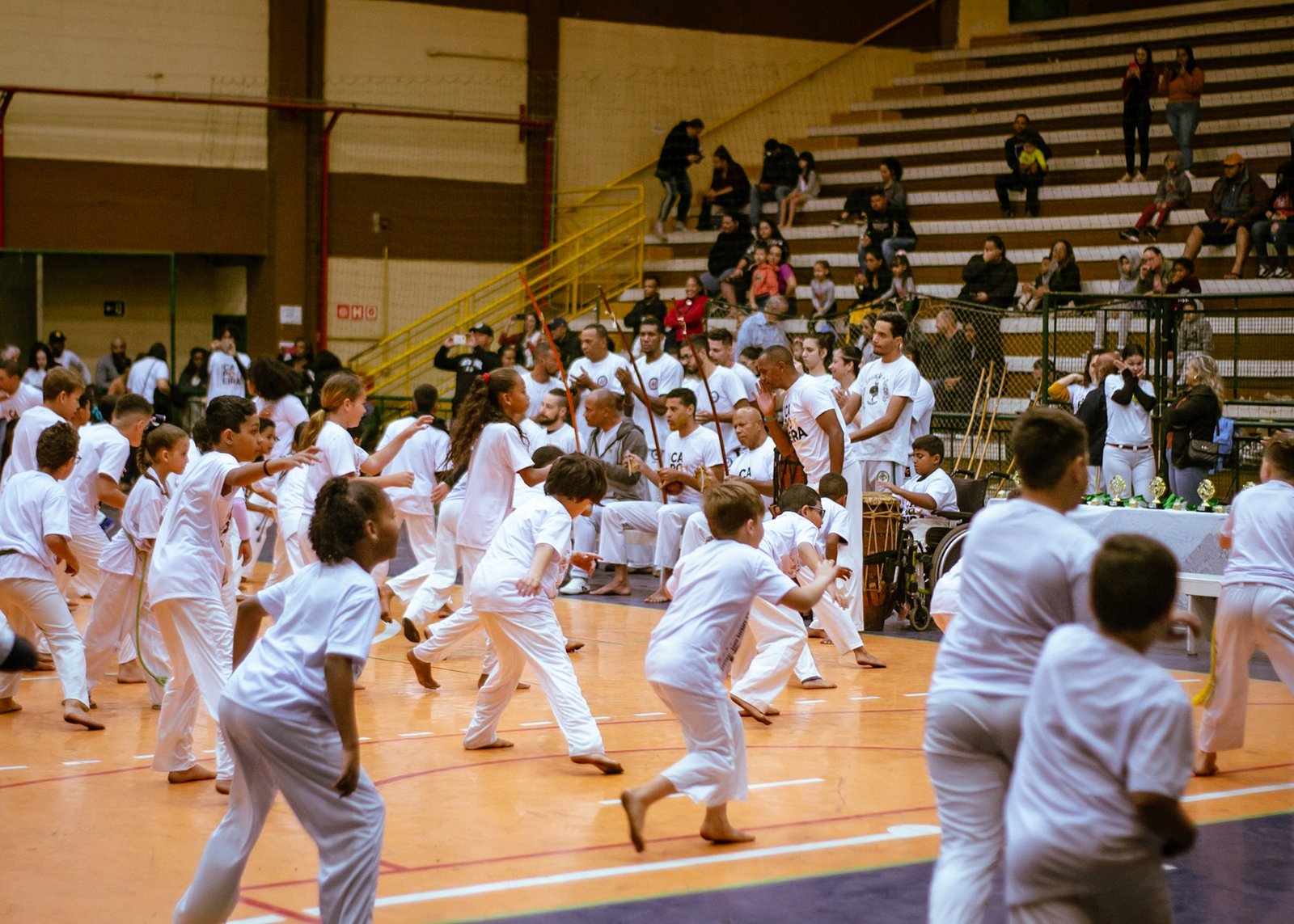festival de capoeira 01