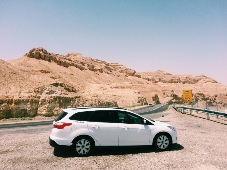 pexels-margo-white-595503-1376353