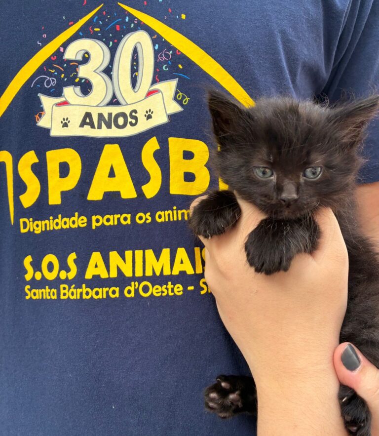 Adote um Pet_Tivoli_100925 (1)