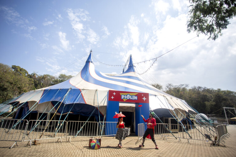 TAMPA & PANELA (484)