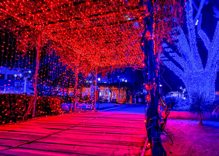 iluminaçao de natal 01