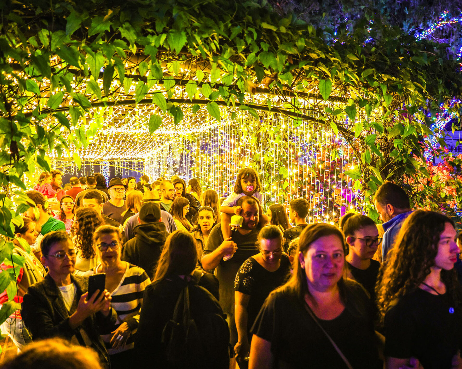 natal das arvores 10