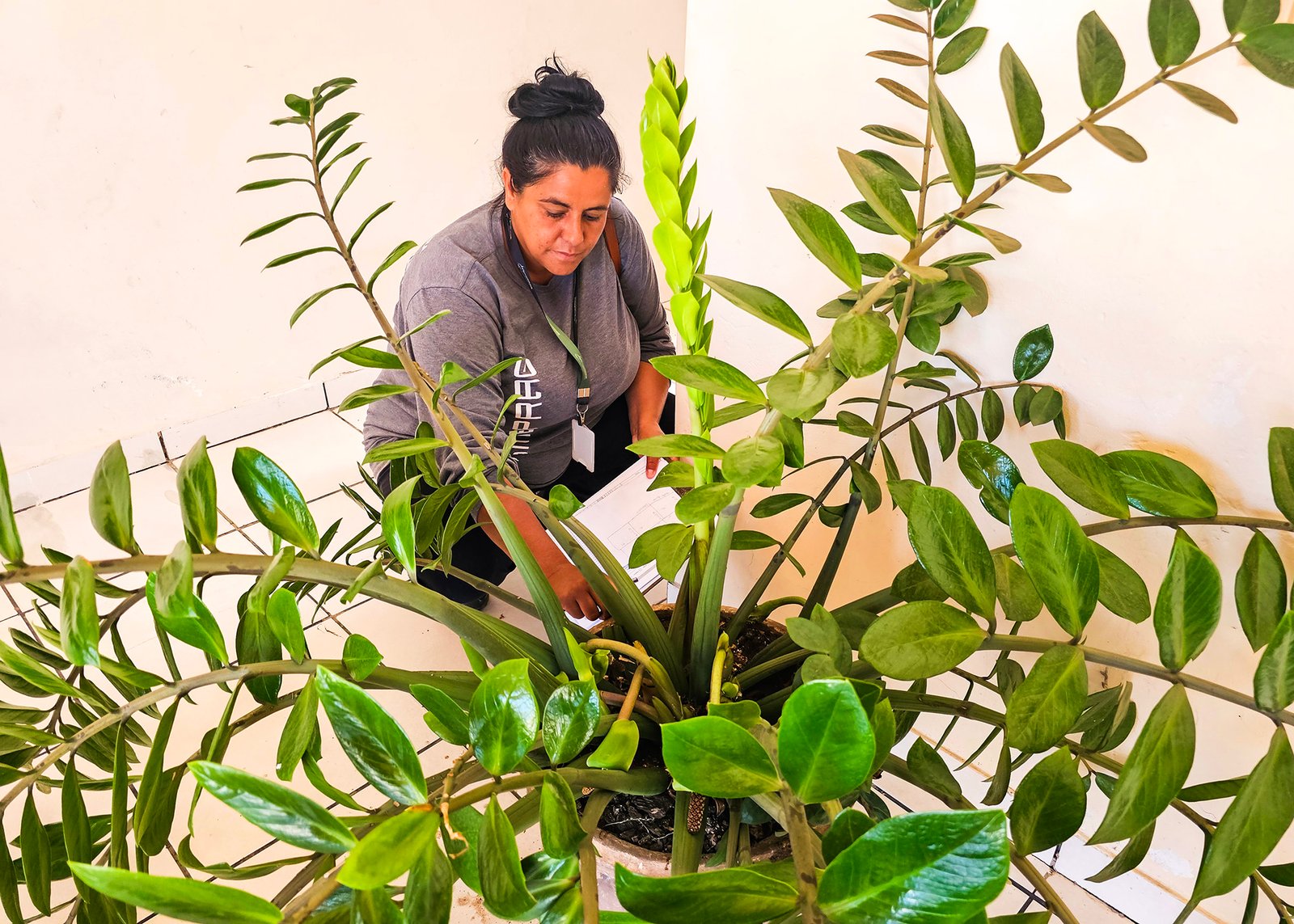 Mais da metade dos focos do Aedes aegypti está em recipientes domésticos em Santa Bárbara 1 Combate a Dengue 07