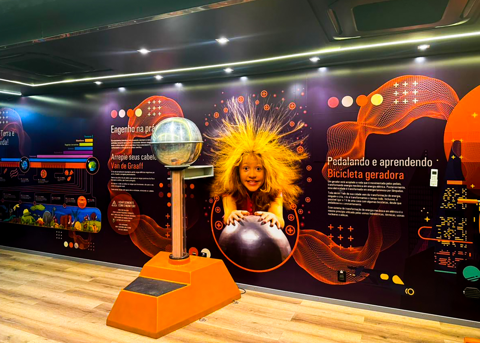 carreta catavento 14