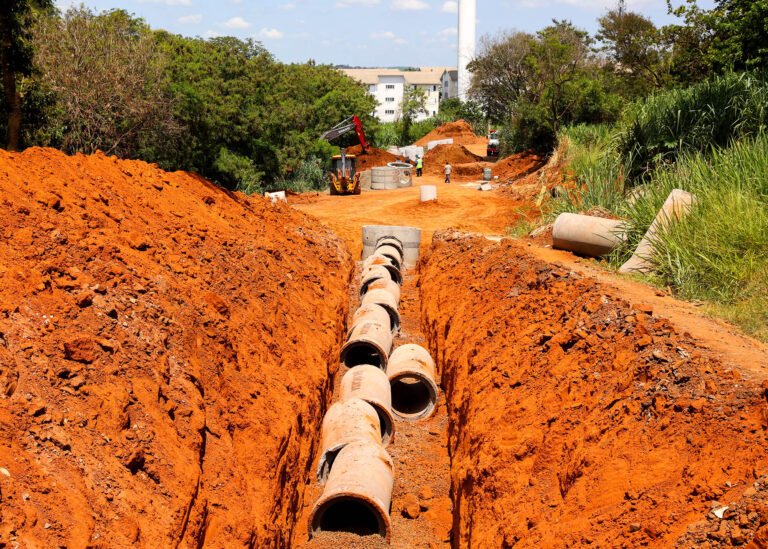 obra euclides da cunha 01