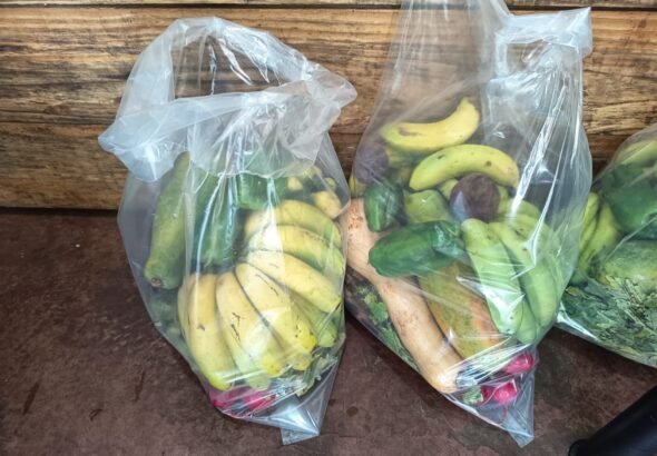 WhatsApp Image 2026-02-11 at 09.09.36 (3)