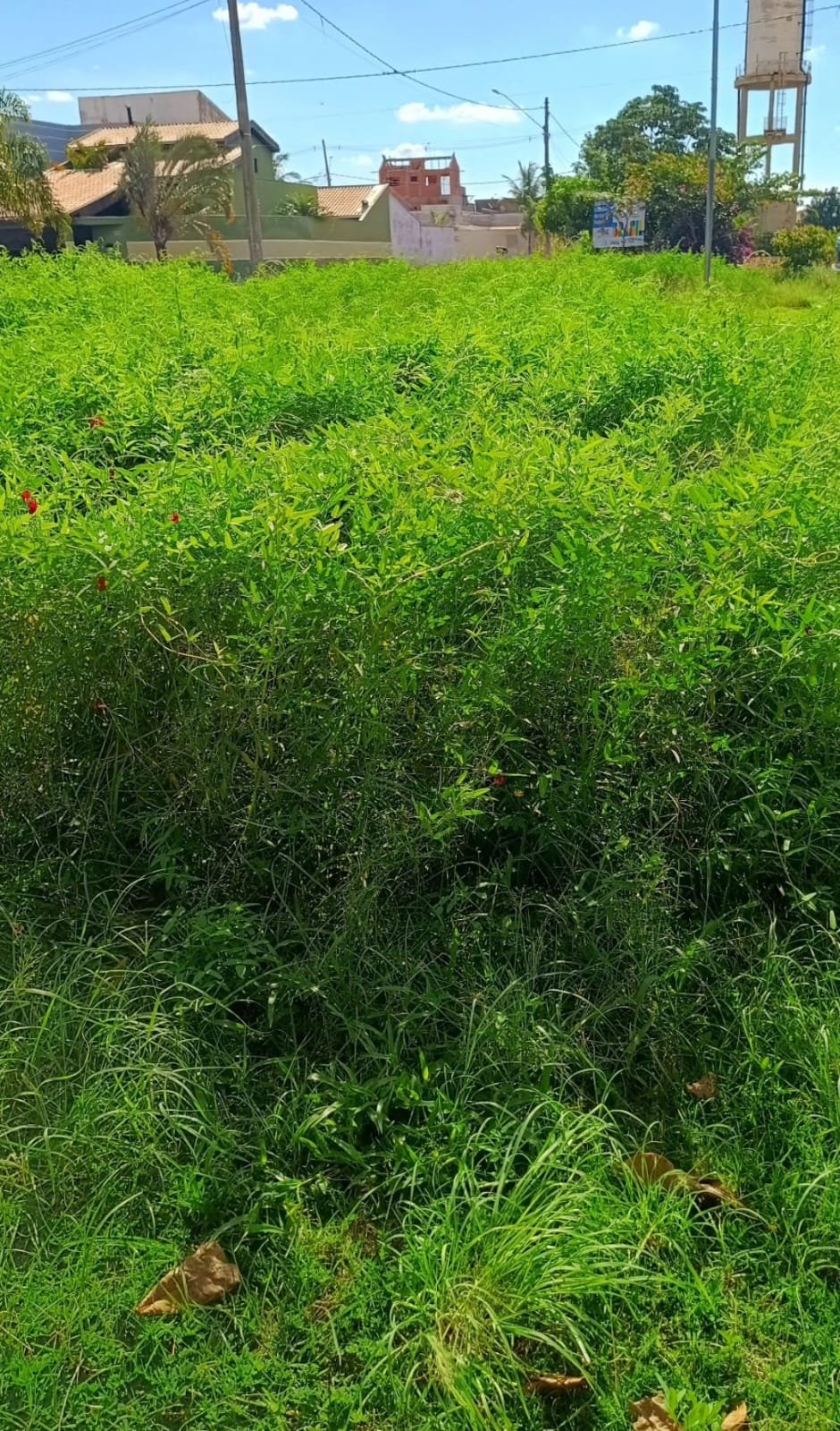 Vereador cobra explicações sobre abandono da Praça Santo Turci no Vila Rica 3 WhatsApp Image 2026 02 23 at 12.26.22