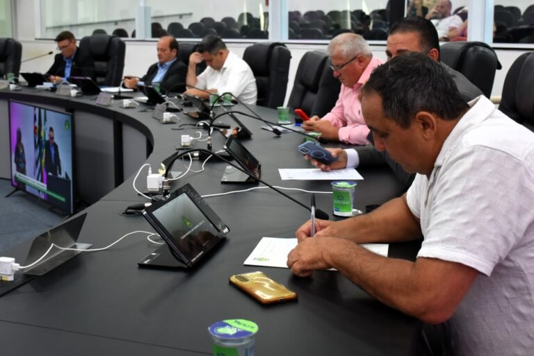 Maioria da Câmara barra convite a secretários para explicar buracos e mato alto em Santa Bárbara 5 Vereadores barbarenses