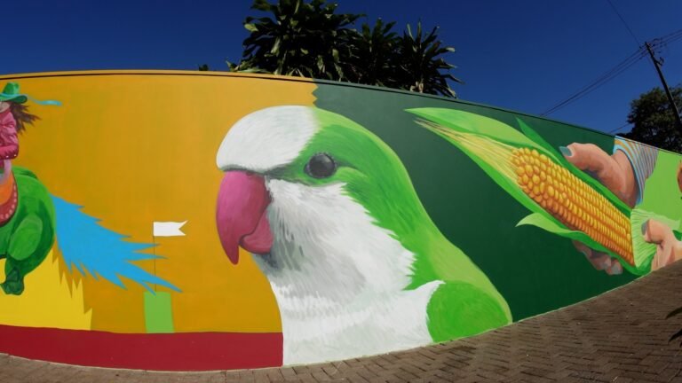 “O muro de Marechal”