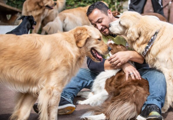 ZAGO_fotos de Van Sallesaro Fotografia_19