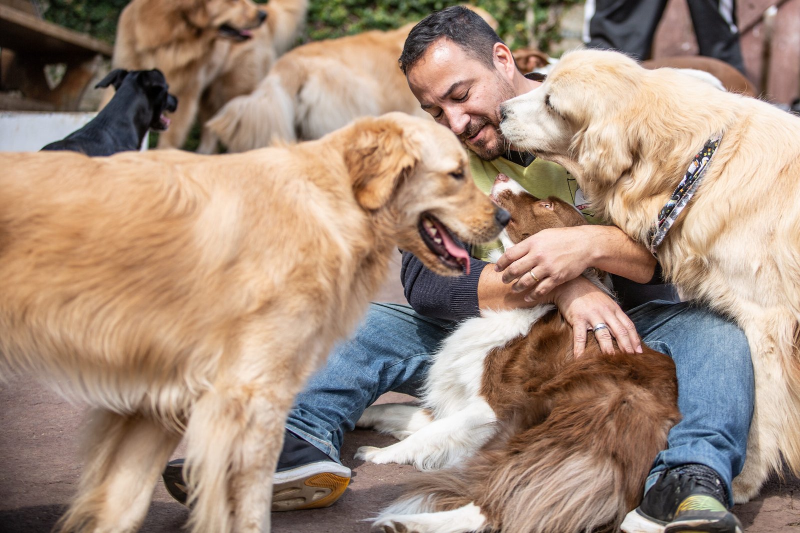 ZAGO_fotos de Van Sallesaro Fotografia_19