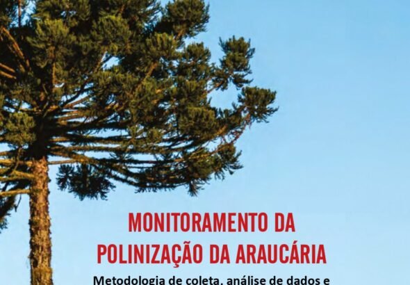 Capa do Documento Tecnico 138