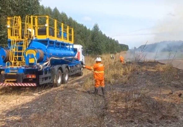 Suzano simulado operacional do PAM