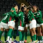 Palmeiras derrota Botafogo e se aproxima da liderança no BR