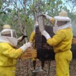 Apicultores apoiados pela Suzano