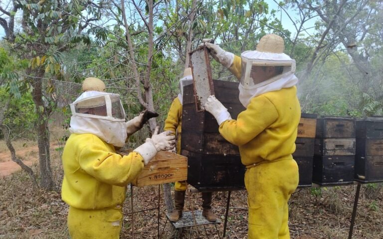 Apicultores apoiados pela Suzano
