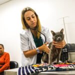 1 Ano Meu Pet 01