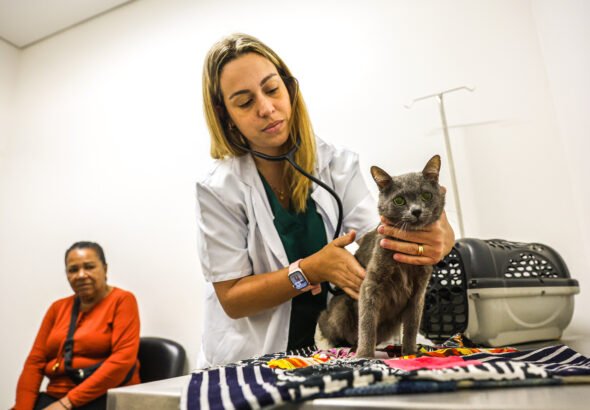 1 Ano Meu Pet 01