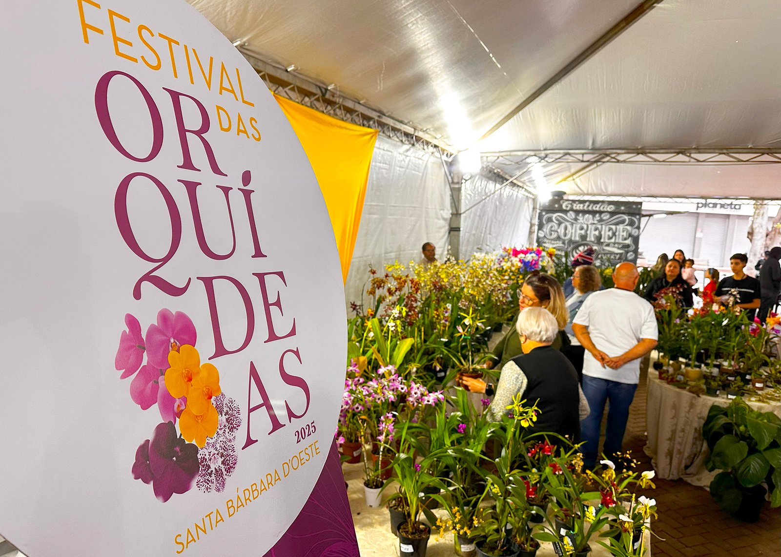 FESTIVAL DAS ORQUÍDEAS 1