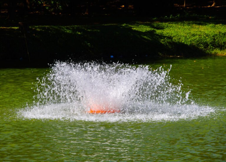 Aerador do Parque dos Ipês (2)