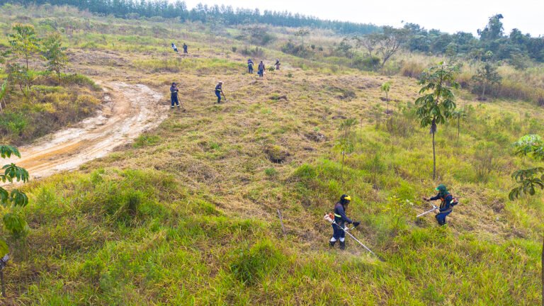DAE de Santa Bárbara realiza manutenção em área de nascente da represa Areia Branca