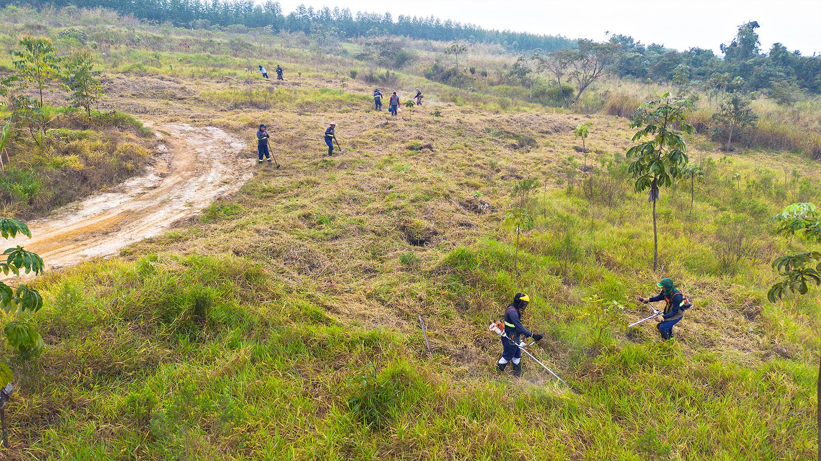 DAE de Santa Bárbara realiza manutenção em área de nascente da represa Areia Branca