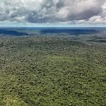 Adversária em campo, Noruega é parceria de ações ambientais do