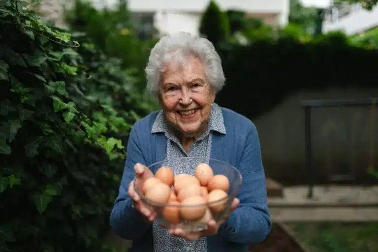 Ovos
