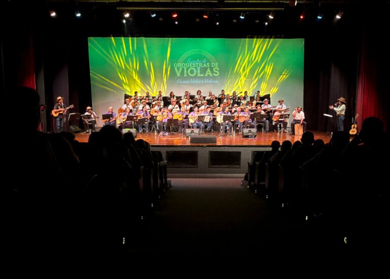 ENCONTRO DE ORQUESTRAS DE VIOLAS (1)