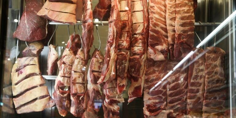 acouguecarne_bovina_economia_20220729_0890.jpg