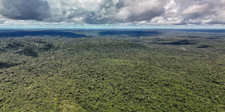 dji_20260514133612_0223_d_55279773377_o.jpg