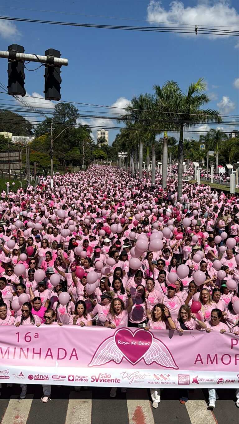 Caminhada 2026 (3)