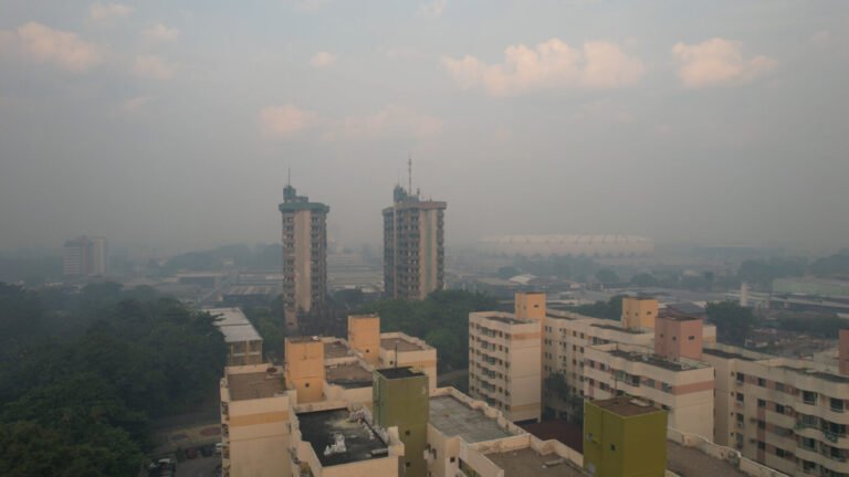 MANAUS