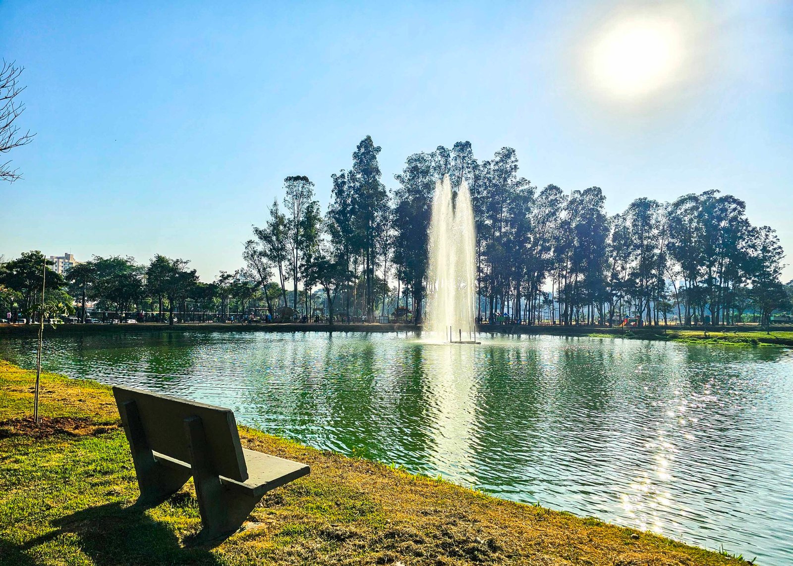 PARQUE DOS IPÊS